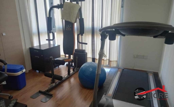 459356616_542146934928801_6042796806355101386_n (Copy)