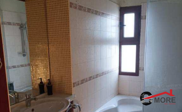 482181859_989715969236624_8132524932333613761_n (Copy)