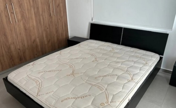 Screenshot_3-2-2026_193639_www.bazaraki.com (Copy)