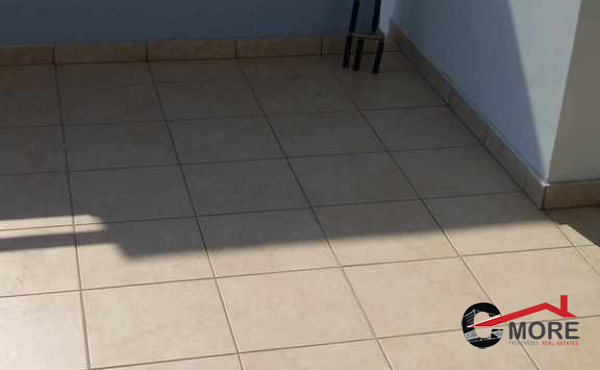 462552619_1599725577289979_529639769759608197_n (Copy)