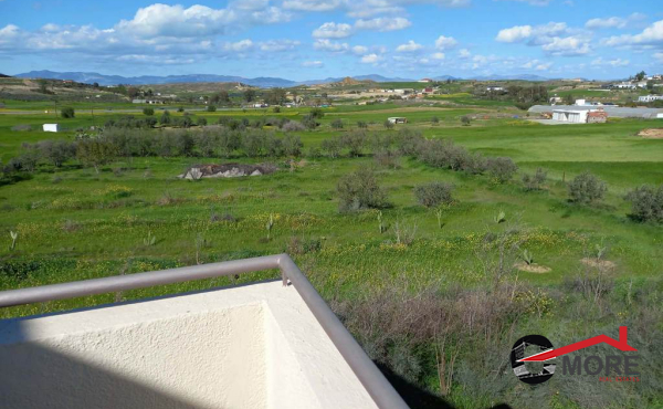 ae049022-fb3d-49fd-917b-72b24ffe4cc4 (Copy)