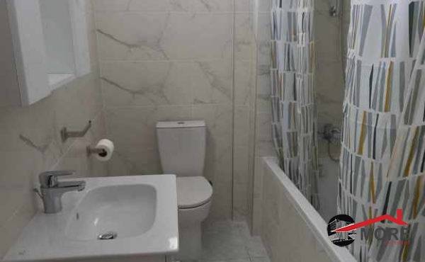 459432856_504029552266502_1766418445367357686_n (Copy)