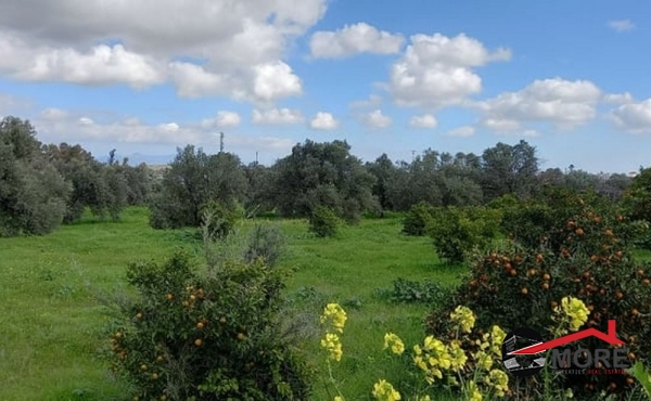 273168236_758485091779955_3689499043478757351_n (Copy)