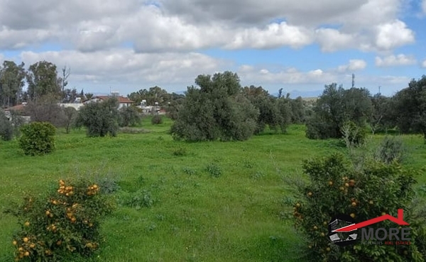 273260914_3352327258421646_2750623358174684113_n (Copy)