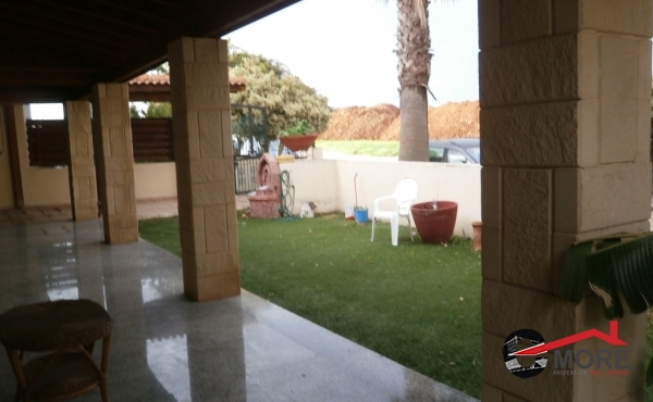 P1240018 - Copy (Copy)