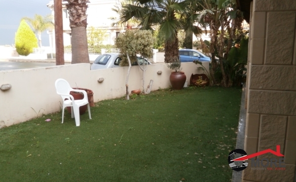 P1240019 - Copy (Copy)