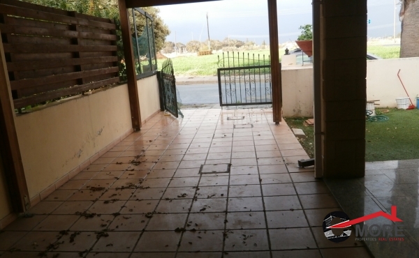 P1240020 - Copy (Copy)