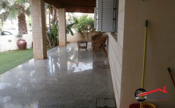 P1240021 - Copy (Copy)