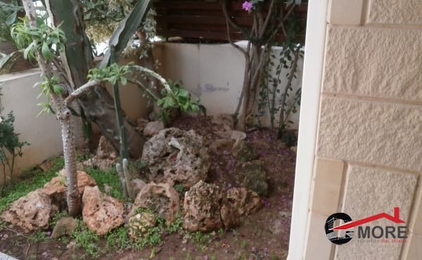 P1240023 - Copy (Copy)