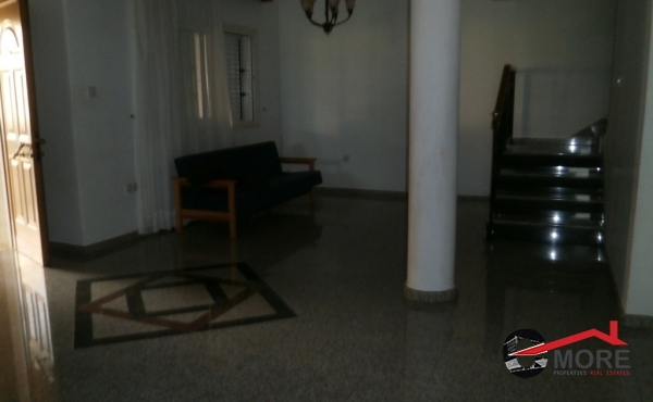 P1240025 - Copy (Copy)