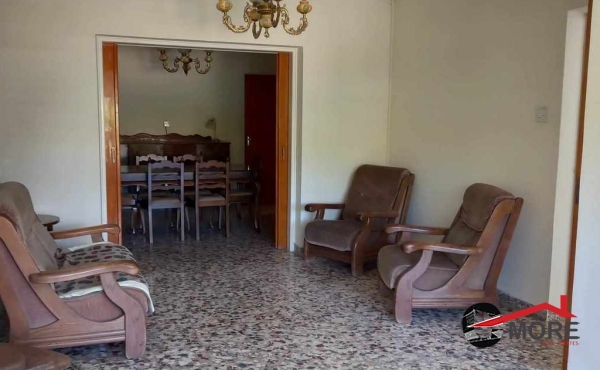 373402406_143636665475773_8089150196741048683_n (Copy)