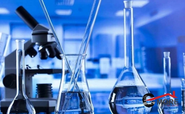 655c6bef0232e538 (Copy)