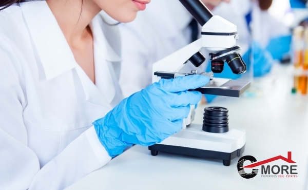 GettyImages-940372496 (Copy)